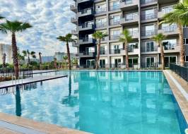 IMG_1172_original_copy_1