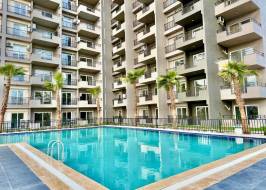 IMG_1173_original_copy_1