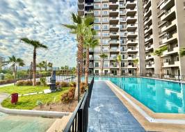 IMG_1175_original_copy_1