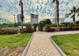 IMG_1184_original_copy_1