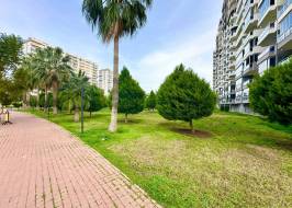 Lu1005421w24_original