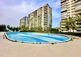 SunFlowers102_original