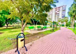 SunFlowers108_original