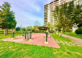 SunFlowers111_original