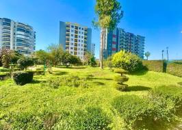 As3035092131_original