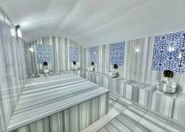 lavinyaastoria02_original