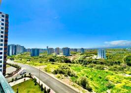 As708912w17_original