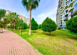 SunFlowers109_original