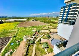 IBR00213912_original