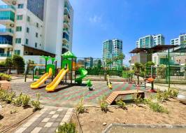 Oma530s11w24_original