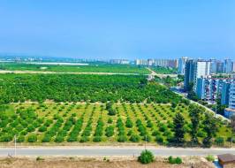 Kargıpınarı, Mersin'de prestijli bir sahil beldesidir. Fotoğraf 29