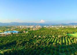 Kargıpınarı, Mersin'de prestijli bir sahil beldesidir. Fotoğraf 23