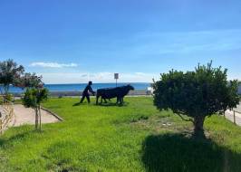 Erdemli, Mersin'in modern bir ilçesidir – fotoğraf 39