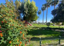Erdemli, Mersin'in modern bir ilçesidir – fotoğraf 31