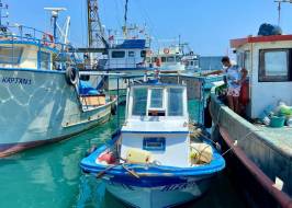 Erdemli, Mersin'in modern bir ilçesidir – fotoğraf 45