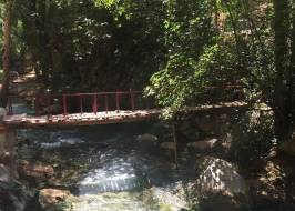 FOTOĞRAF-2026-05-16-13-46-42_5_orijinal