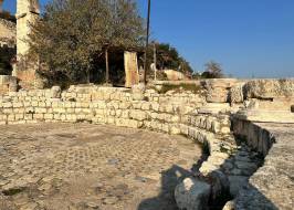 FOTOĞRAF-2026-05-14-08-11-14_12_orijinal