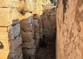 FOTOĞRAF-2026-05-14-08-11-14_1_orijinal