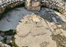 FOTOĞRAF-2026-05-14-08-11-14_6_orijinal