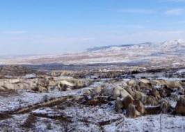 000105_original_copy_1