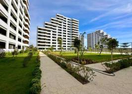 photo_2025-11-05_18-29-55_original