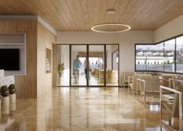 FIc_NAL_LOBIc__5_original