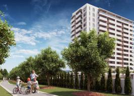 Oktay_render_2_rev_original