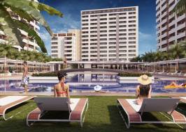 Oktay_render_8rev_original