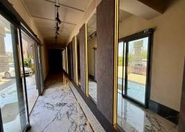 photo_2025-07-31_12-10-46_original