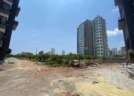 MSG735521735-136839_Riginal