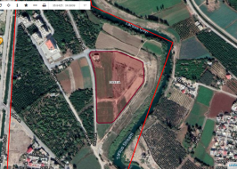 HARITA_GORUNUM_түпнұсқа