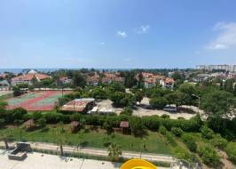 msg735521735-136284_original