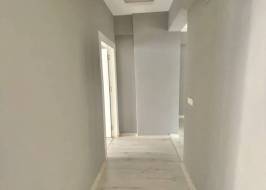 MSG735521735-147830_Riginal