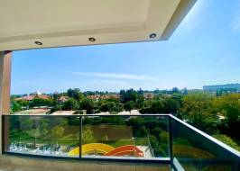 msg735521735-149705_original