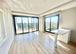 msg735521735-149711_original