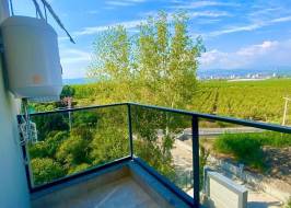 msg735521735-149720_original