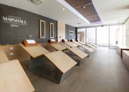 MARSHALL_SPA_orijinal