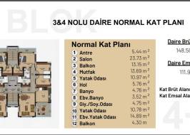 KAT_PLAN_CEO_MLANO_original