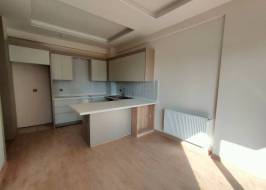 msg735521735-154777_original