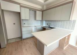 msg735521735-154778_original