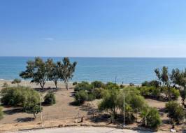 IMG-20231011-WA0111_Riginal