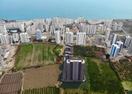 FB_IMG_1665554943896_original