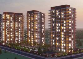 FB_IMG_1665554972846_original