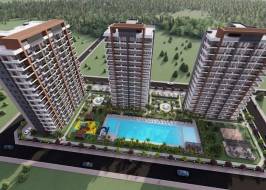 FB_IMG_1665554998775_original