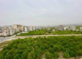 MSG735521735-177798_Riginal