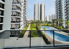 photo_5283159930334993122_y_original