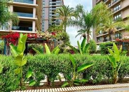 msg735521735-177978_original