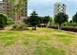 msg735521735-177986_original