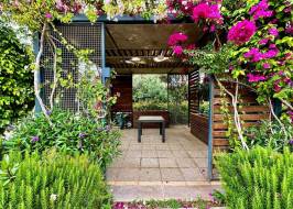 msg735521735-177988_original