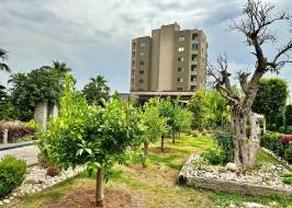 msg735521735-177992_original